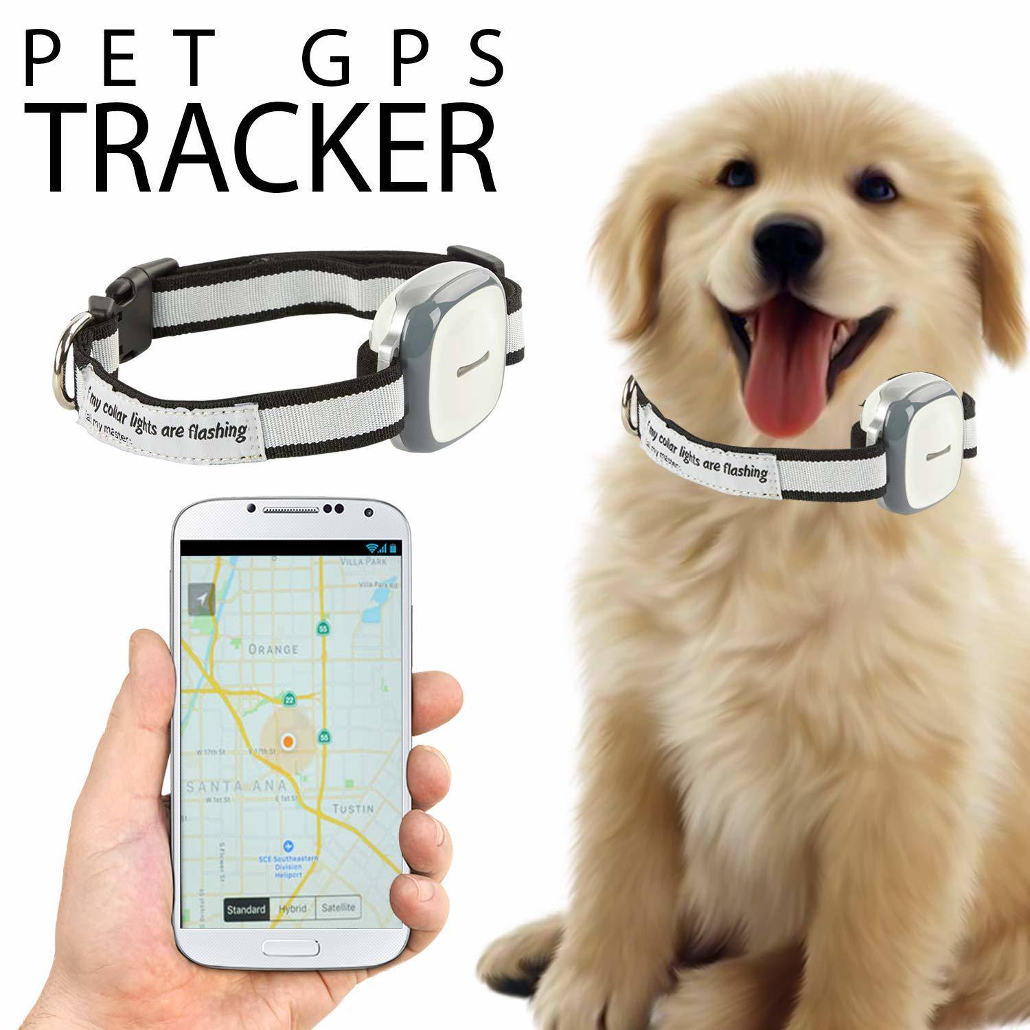 Gps трекер для собак (кошек), обзор технологии и устройств