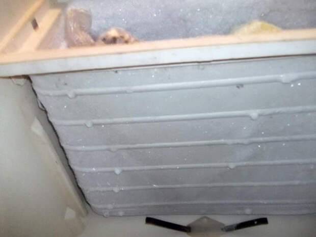 Морозильная камера своими руками: как можно сделать из старого холодильника, ларя или пустого помещения - kupihome.ru