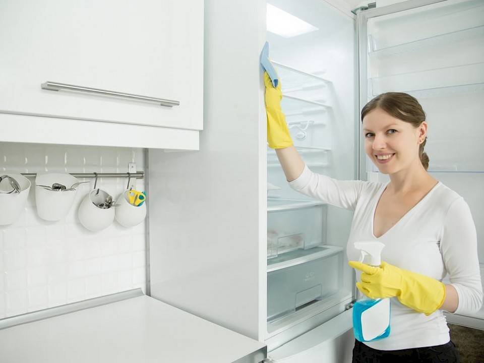 20 лучших советов и средств чем можно помыть холодильник снаружи- обзор