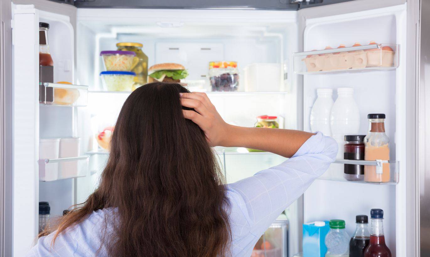 Плесень в холодильнике: причины, способы избавления (фото)