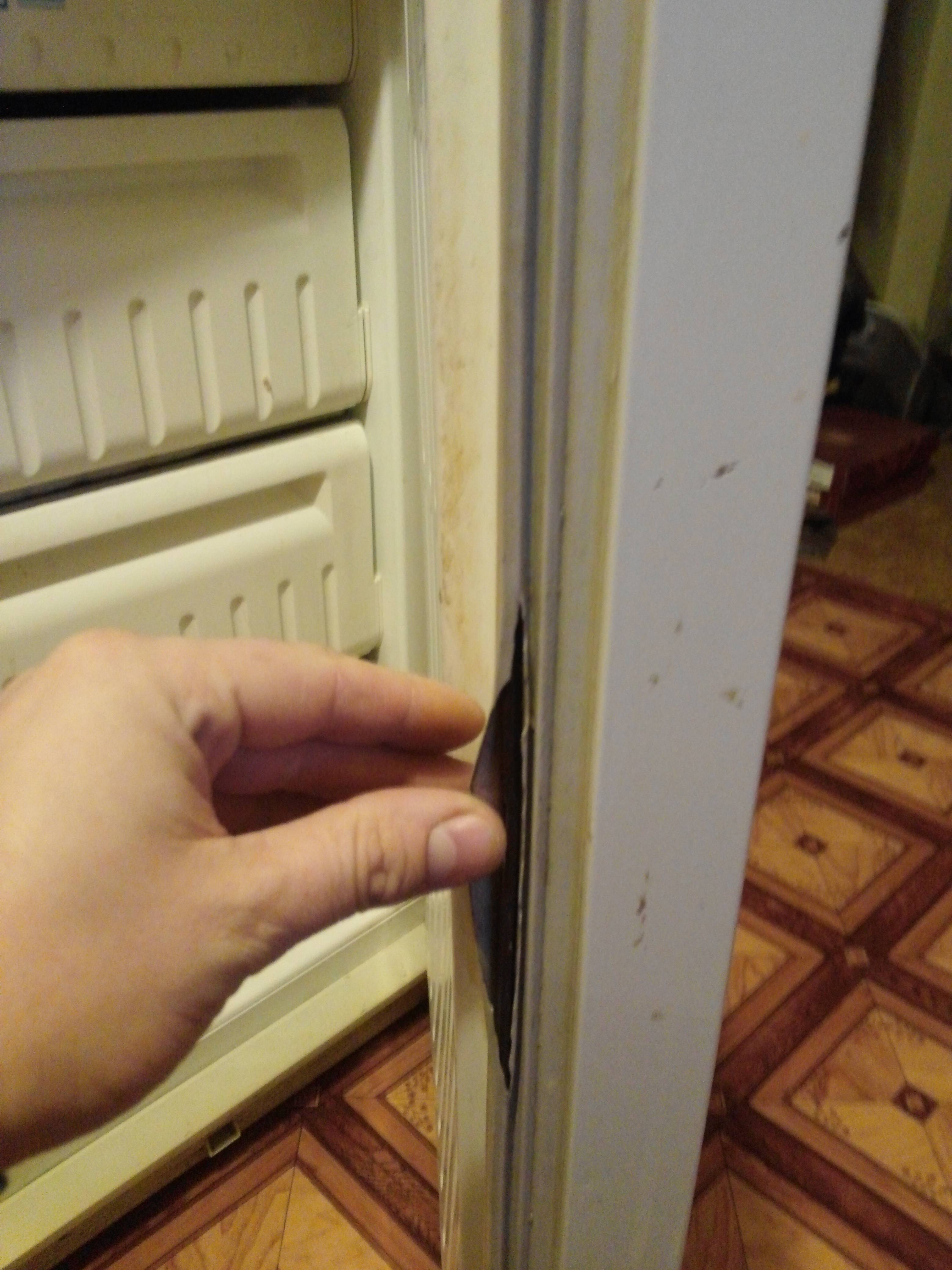 Замена уплотнителя в холодильнике: ремонт уплотнительной резинки на двери, как поменять своими руками, установить, можно ли починить