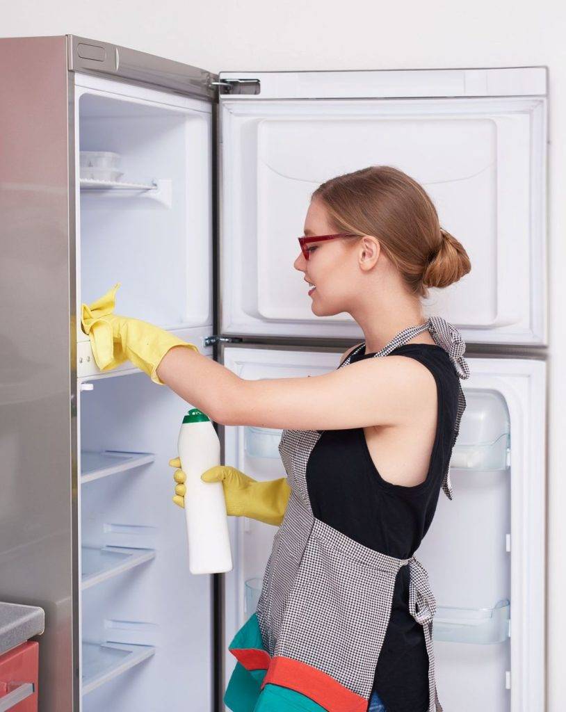 Чем помыть новый холодильник перед первым использованием: внутри, как протереть, включением, нужно ли, чтобы не было запаха пластика