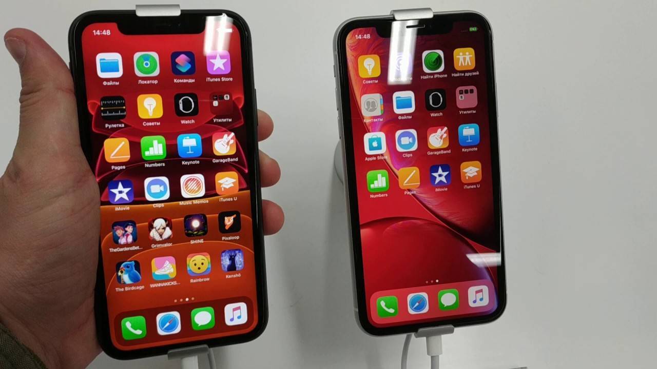 Сравнение iphone 8 и iphone xr: обзор, что лучше выбрать